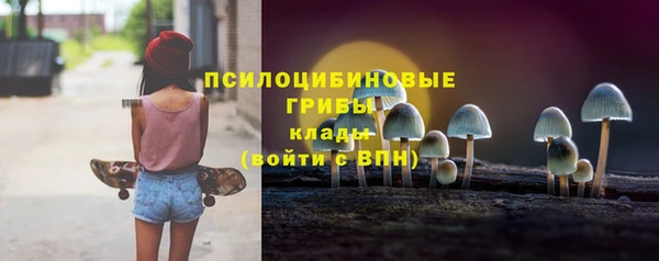 герыч Каменногорск